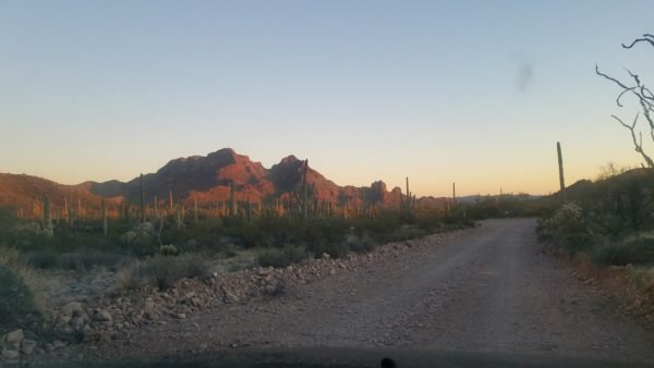 Desert Landscape